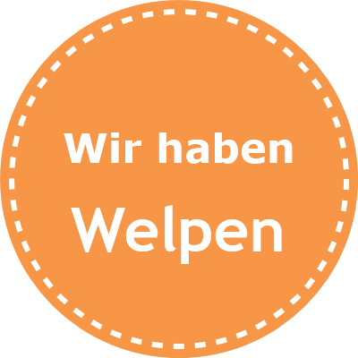 Wir haben